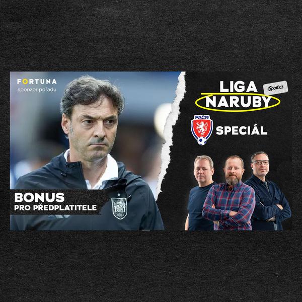 Liga naruby